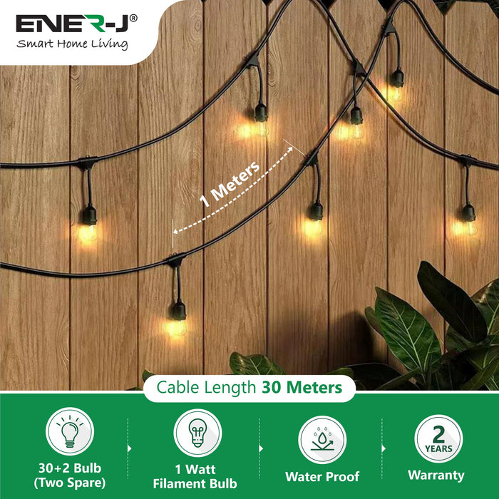 Ener J Smart 100ft LED Filament Bulb String Light Kit - 30 x 1W Bulbs Included