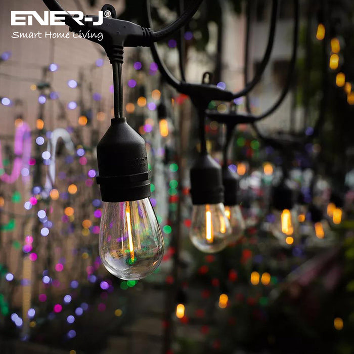 Ener J Smart 100ft LED Filament Bulb String Light Kit - 30 x 1W Bulbs Included